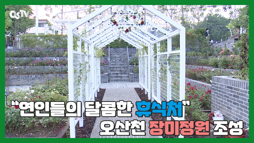 “연인들의 달콤한 휴식처” 오산천 장미정원 조성